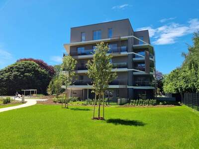 Wohnung provisionsfrei mieten in 4040 Linz