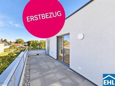 Terrassenwohnung mieten in 1220 Wien (Bild 1)