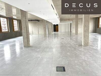 Büro / Praxis mieten in 1230 Wien (Bild 1)