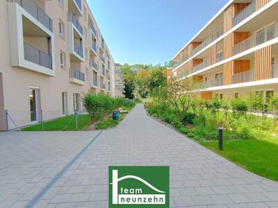 Terrassenwohnung mieten in 3100 St. Pölten (Bild 1)