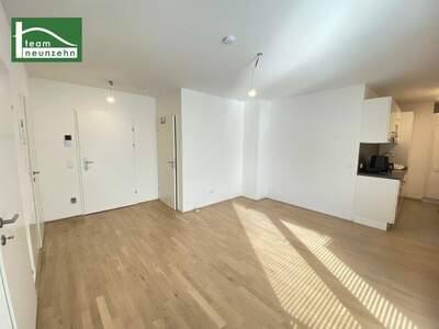 Terrassenwohnung mieten in 1200 Wien (Bild 3)