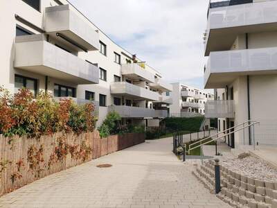 Wohnung mieten in 2500 Baden