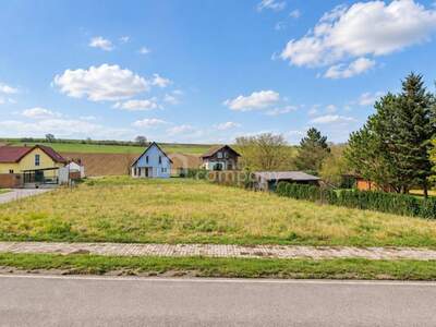 Anlageobjekt kaufen in 2161 Poysbrunn
