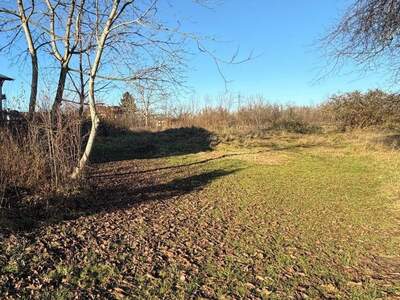 Grundstück kaufen in 5071 Wals