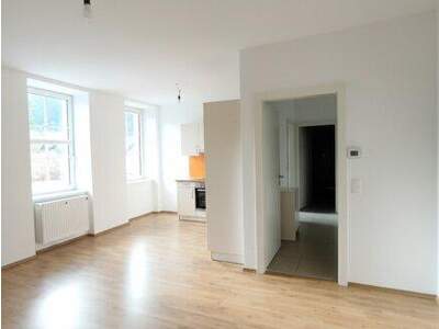 Wohnung mieten in 2565 Neuhaus (Bild 1)