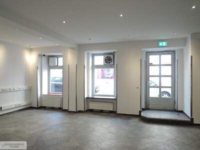 Gewerbeobjekt mieten in 1060 Wien (Bild 2)