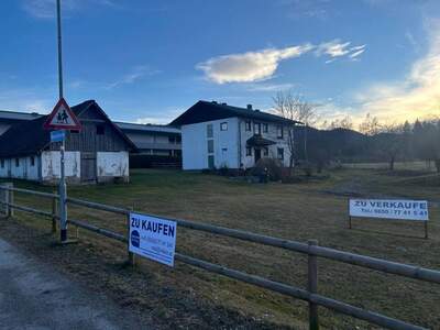 Haus kaufen in 9560 St. Martin (Bild 4)