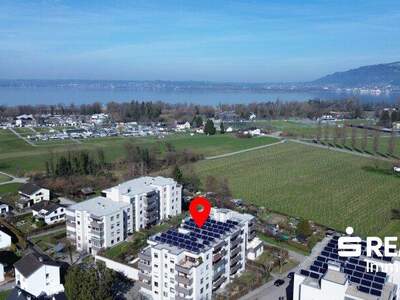 Terrassenwohnung kaufen in 6900 Bregenz (Bild 4)