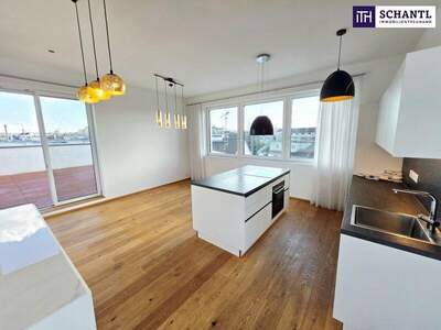 Terrassenwohnung kaufen in 1050 Wien (Bild 5)