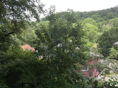 Mietwohnung in 8052 Graz