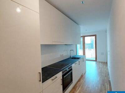 Terrassenwohnung mieten in 1100 Wien (Bild 3)