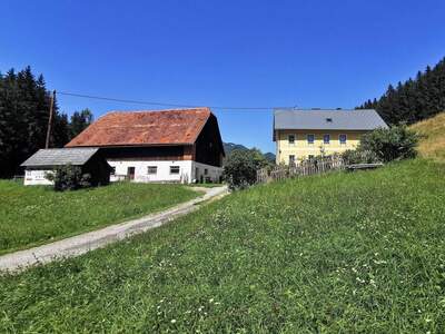 Gewerbeobjekt kaufen in 8621 Palbersdorf