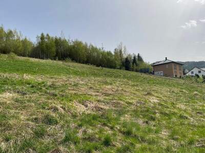 Grundstück kaufen in 8661 Sankt Barbara