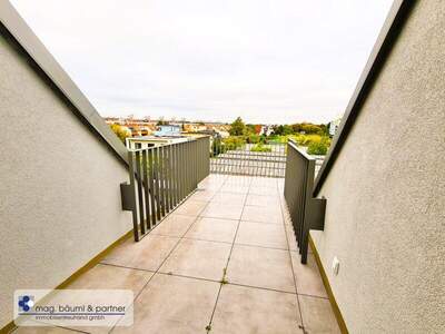 Terrassenwohnung kaufen in 1220 Wien (Bild 1)