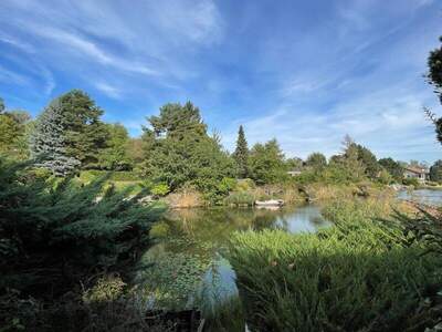 Haus kaufen in 2491 Neufeld (Bild 5)
