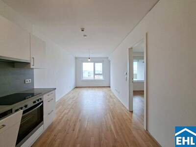 Terrassenwohnung mieten in 1020 Wien (Bild 1)