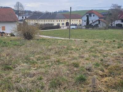Grundstück kaufen in 4611 Buchkirchen (Bild 1)