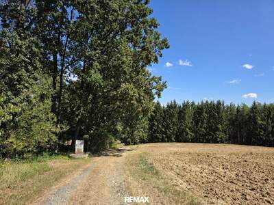 Gewerbeobjekt kaufen in 7572 Deutsch Kaltenbrunn