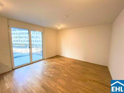 Terrassenwohnung mieten in 1100 Wien (Bild 1)