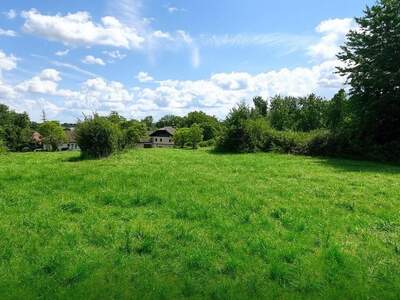 Grundstück kaufen in 4675 Weibern