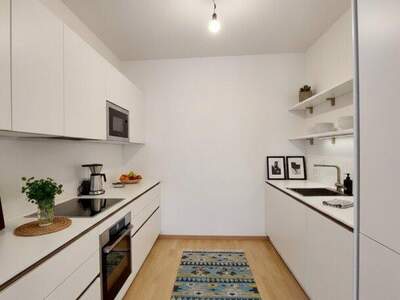 Terrassenwohnung mieten in 1010 Wien (Bild 3)