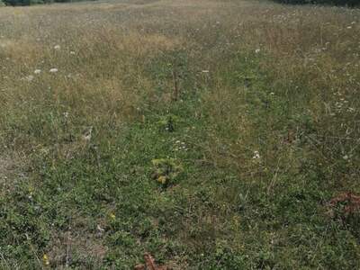 Grundstück kaufen in 53233 Vaganac (Bild 2)