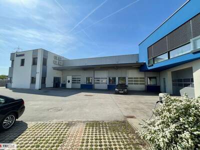 Gewerbeobjekt kaufen in 1230 Wien (Bild 2)