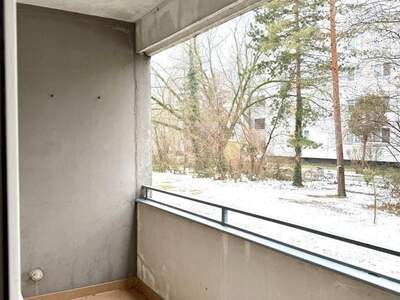 Terrassenwohnung mieten in 2344 Maria Enzersdorf (Bild 2)