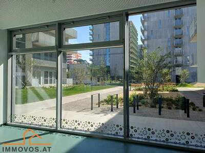 Gewerbeobjekt mieten in 1220 Wien 22.