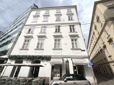 Altbauwohnung kaufen in 1010 Wien (Bild 2)