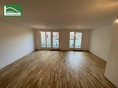 Terrassenwohnung mieten in 1230 Wien (Bild 2)