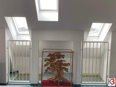 Wohnung mit Balkon mieten in 5020 Salzburg (Bild 4)