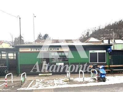 Gewerbeobjekt mieten in 1190 Wien (Bild 2)