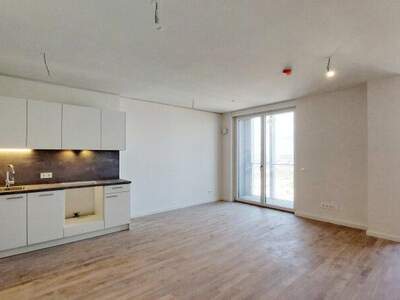 Terrassenwohnung mieten in 1220 Wien (Bild 2)