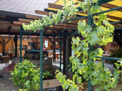 Haus kaufen in 3180 Lilienfeld (Bild 5)