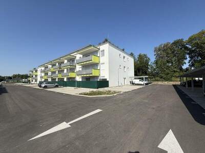 Terrassenwohnung kaufen in 2442 Unterwaltersdorf (Bild 5)