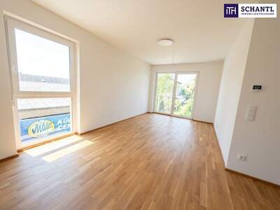 Terrassenwohnung kaufen in 8401 Kalsdorf (Bild 3)