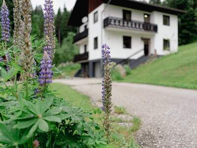 Haus kaufen in 9572 Deutsch