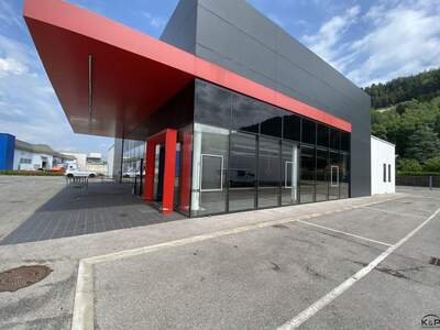 Gewerbeobjekt mieten in 9800 Spittal (Bild 4)