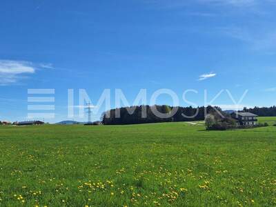 Grundstück kaufen in 5201 Seekirchen (Bild 1)