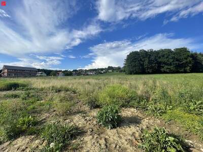 Grundstück kaufen in 8151 Hitzendorf