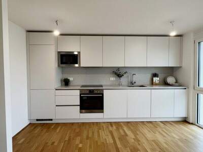 Terrassenwohnung kaufen in 1230 Wien (Bild 4)