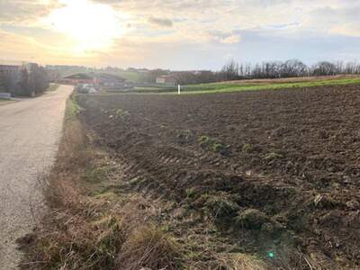 Gewerbeobjekt kaufen in 2191 Gaweinstal