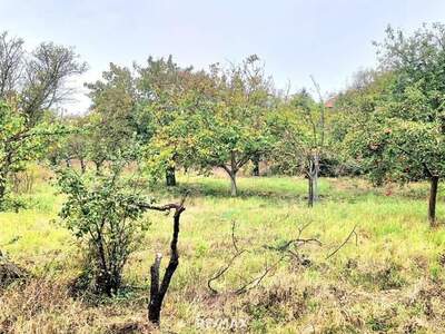 Grundstück kaufen in 7122 Gols