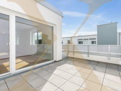 Terrassenwohnung mieten in 3100 St. Pölten (Bild 1)