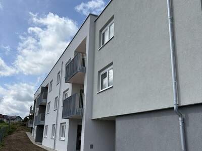 Mietwohnung in 4730 Waizenkirchen (Bild 2)