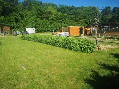 Gewerbeobjekt provisionsfrei mieten in 8380 Rax