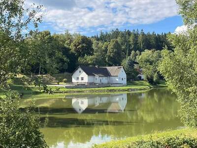 Haus provisionsfrei kaufen in 3863 Reingers
