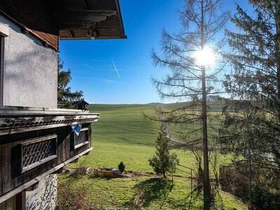 Einfamilienhaus kaufen in 5101 Bergheim