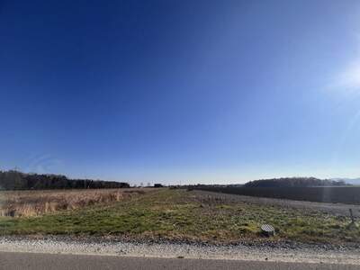 Gewerbeobjekt kaufen in 8423 Sankt Veit (Bild 3)